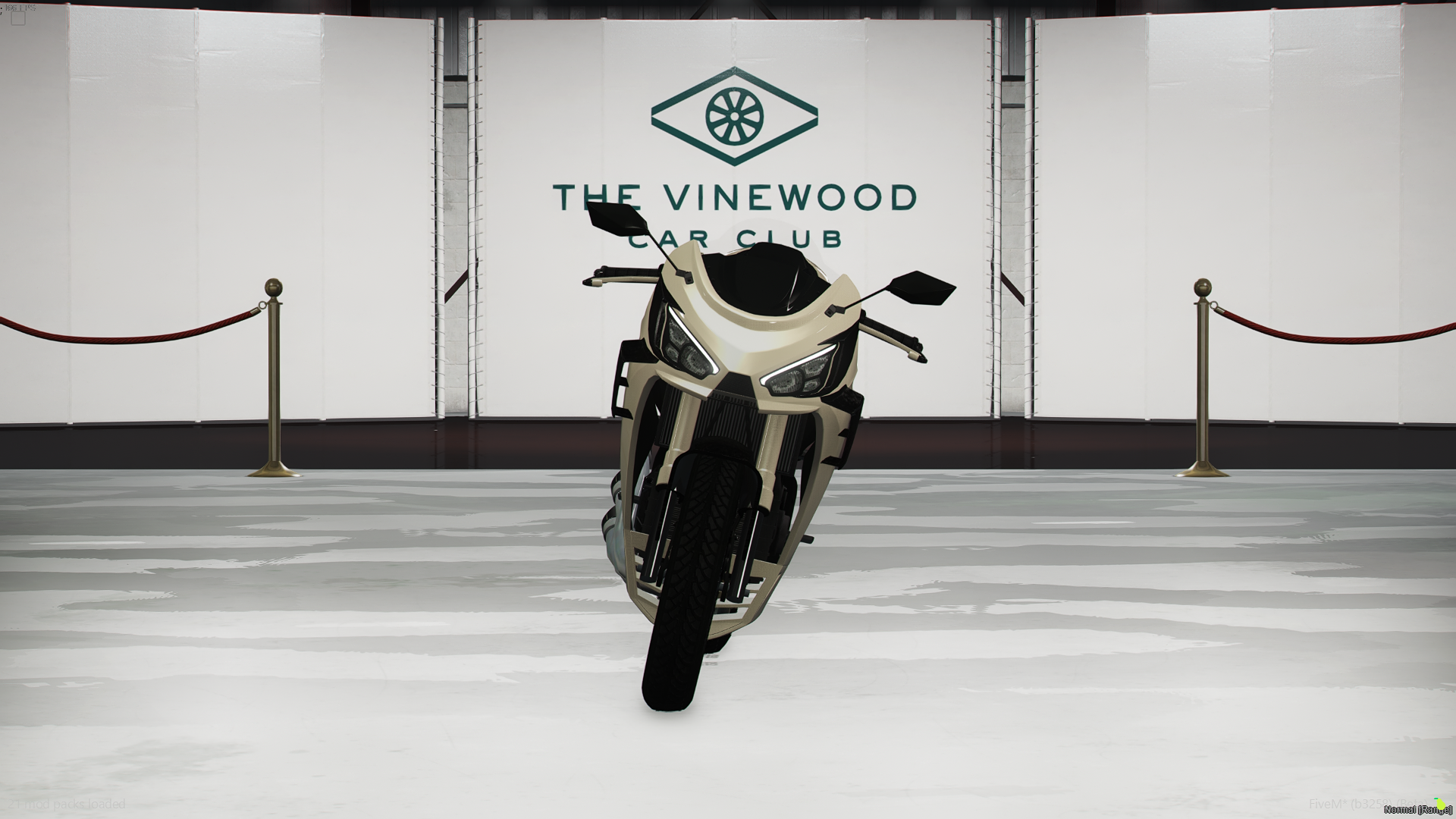 FiveM_GTAProcess_VyhipYTI9p.png